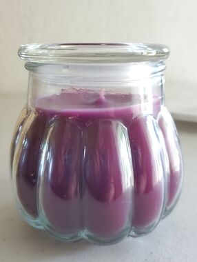 Mulberry Candle NEW 17 oz Approx burn time 88 hours Celebrating Home soy wax